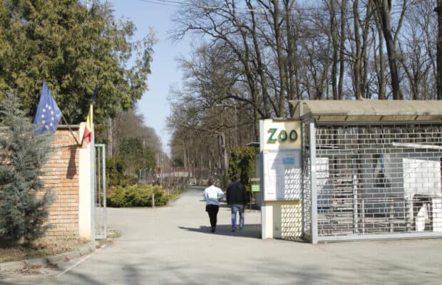 Gradina zoo din Timisoara, inchisa