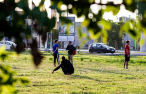 virgil migranti auchan (9)