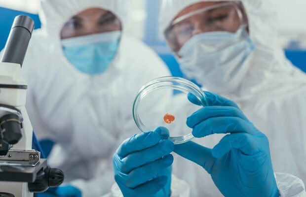 selective focus of biochemist holding petri dish with biomaterial near microscope and colleague