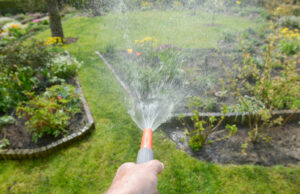watering garden