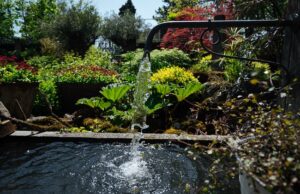 garden tap with running water