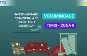 timis zona zero (4)