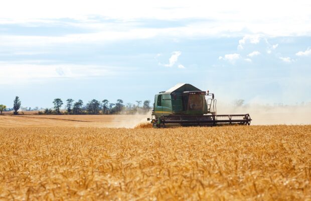 time to harvest! beautiful view of the work of the combine harvesting wheat. harvester machine.