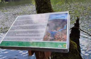 traseu tematic lac buhui amenajat de administratia parcului national semenic-cheile carasului