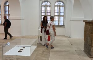 Timisoara expozitie arta in epoca de gheata in sala de marmura a castelului huniade