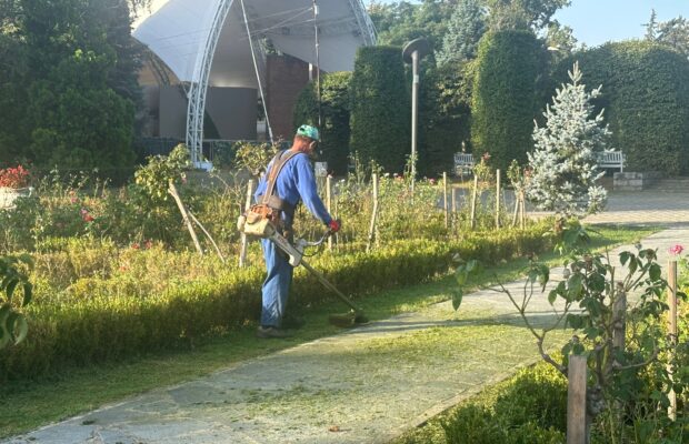 parcul rozelor din Timisoara, pus la punct de horticultura