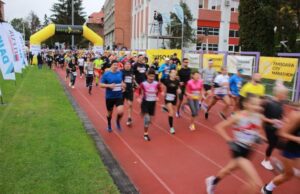 timisoara city marathon