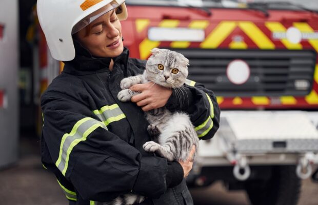 conception of savior. holding cat in hands. woman firefighter in uniform is at work in department