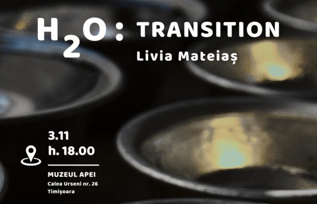 la Timisoara, la Muzeul Apei, afis expozitie h2o transition