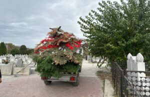 La Timisoara, Horticultura face curatenie in cimitire