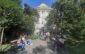 universitatea de medicina si farmacie din timisoara