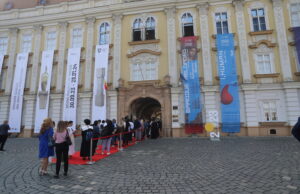 vizitatori care asteapta sa intre la expozitia brancusi de la muzeul de arta din timisoara