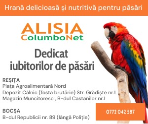 Alisia Columbonet 300x250