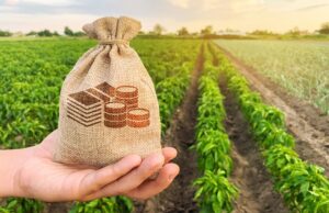 Subvenții pentru agricultura