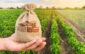 Subvenții pentru agricultura