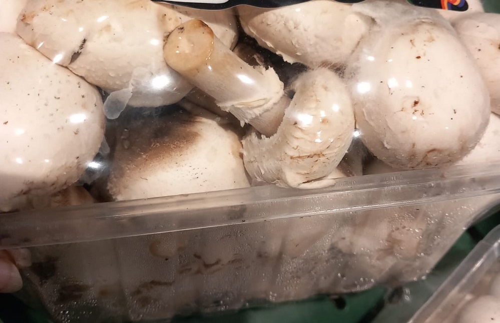 ciuperci stricate kaufland
