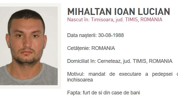 most wanted timis