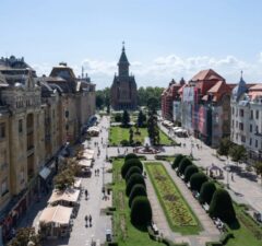 stiri din timisoara