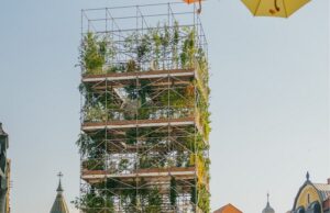 Turnul cu plante din centru Timisoara