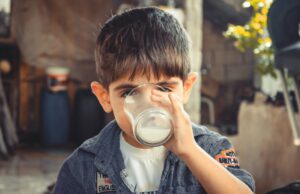 copil din Timisoara, licitatii pentru lapte elevi