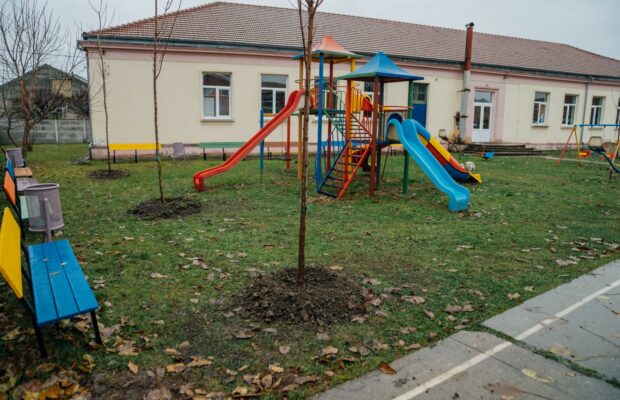 scoala din Timisoara unde se plantează pomi