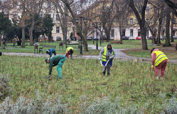 horticultura lucreaza in parcul civic din Timisoara