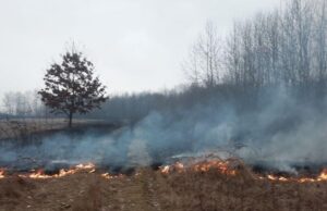 incendiu vegetatie uscata in Timis
