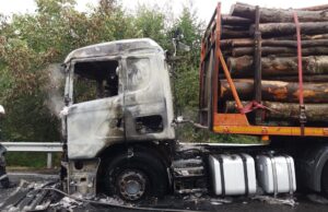 camion lemne ars