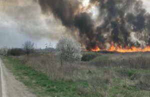 incendiu de vegetatie uscata