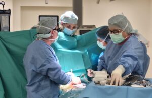 operatie spital privat chirurgie cardiovasculara timisoara