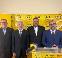 echipa aur timis pentru alegerile din 9 iunie