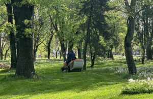 la Timisoara, horticultura are actiuni de cosire