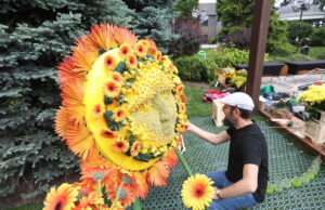 Festivalul Artei Florale timisoara