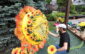 Festivalul Artei Florale timisoara