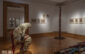 expozitie retrospectiva suzana fantanariu la muzeul de arta timisoara