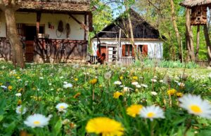 muzeul satului banatean din timisoara