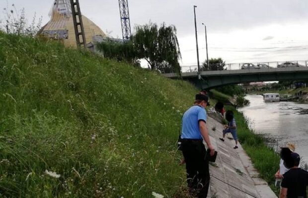 amenzi pentru alcool timisoara