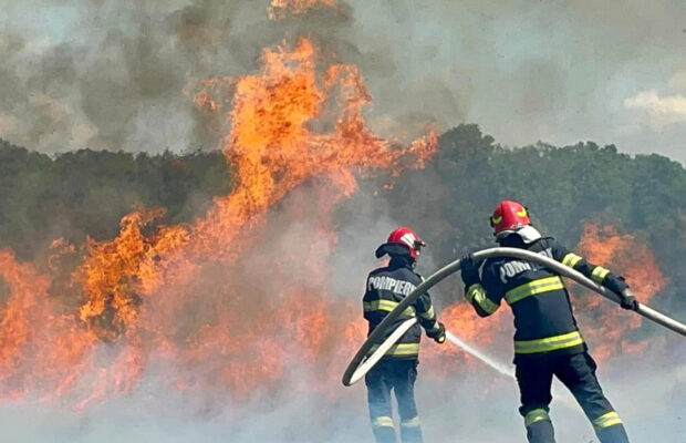 incendiu de padure pompieri
