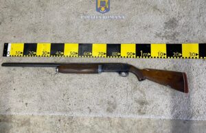 arma confiscata de politie in urma unor perchezitii la nitchidorf, timis