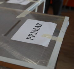urna buletine vot primar alegeri 2024