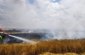 stiri agricole: incendiu langa Timisoara