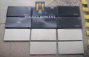 laptopuri furate liceul moisil timisoara