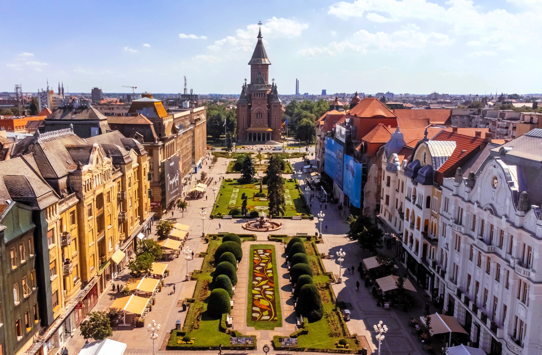 covor floral in centrul timisoarei 1