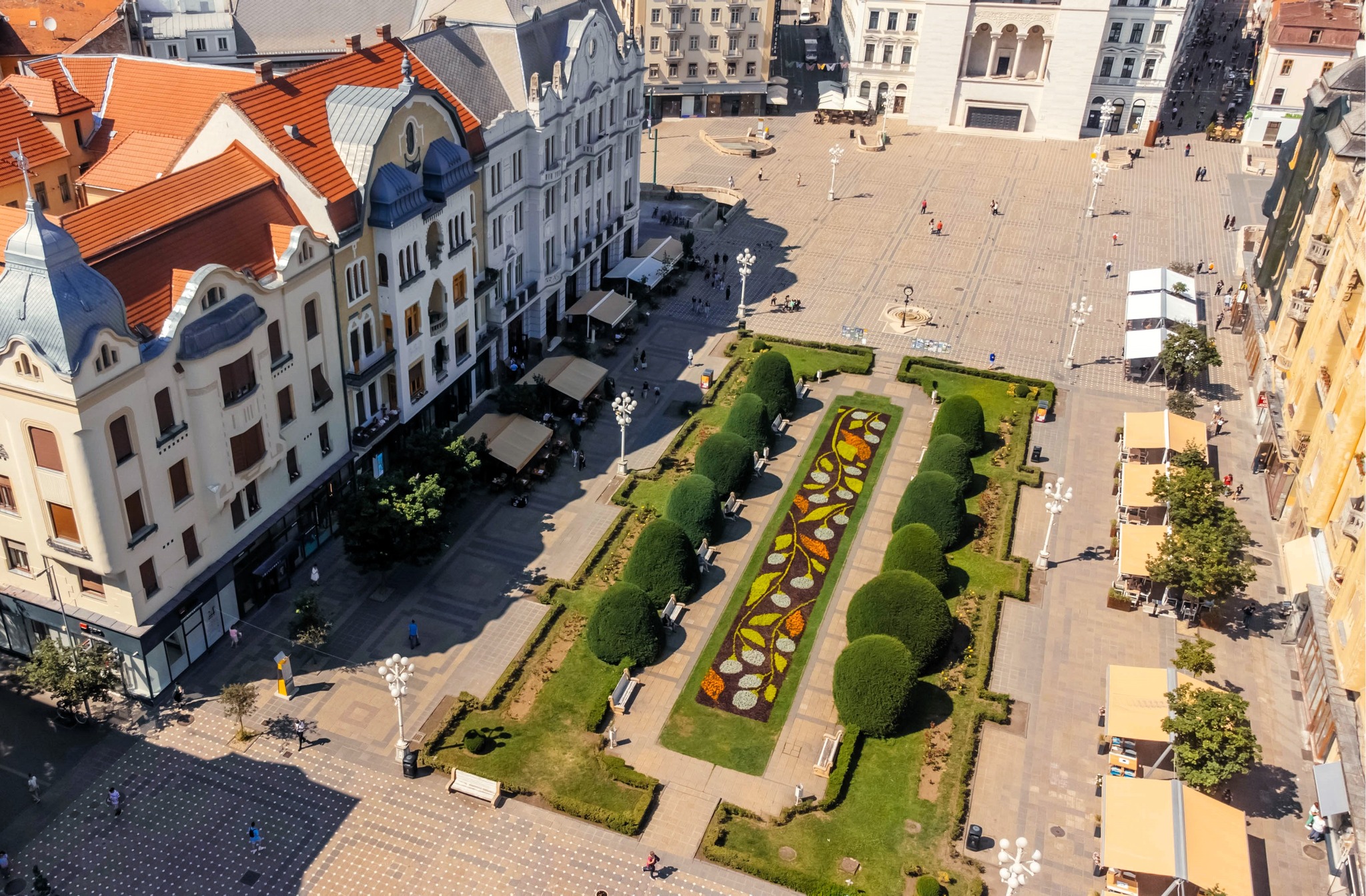 covor floral in centrul timisoarei 3