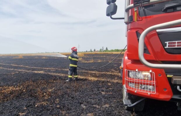 incendiu la ghertenis, caras severin