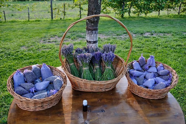 produse lavanda carasova