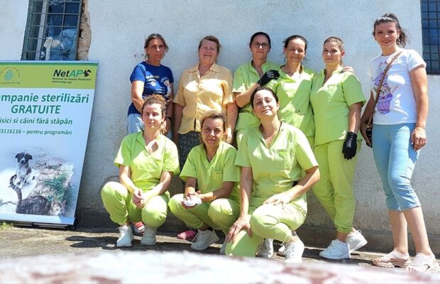 dogs center sterilizare