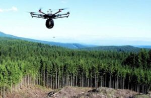 drone in padure