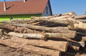 lemn de foc ocolul silvic oravita