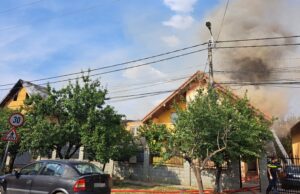 incendiu locuinte timisoara